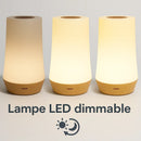 Lampe de Chevet à Led Sans Fil - 13 Color Night Light